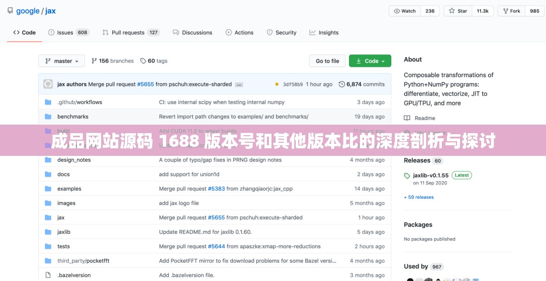 成品網(wǎng)站源碼 1688 版本號(hào)和其他版本比的深度剖析與探討