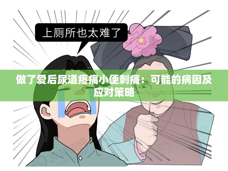 做了愛后尿道疼痛小便刺痛：可能的病因及應(yīng)對策略