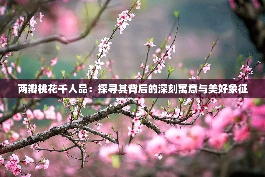 兩瓣桃花千人品：探尋其背后的深刻寓意與美好象征