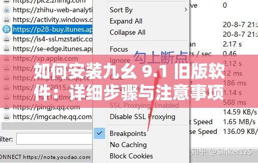 如何安裝九幺 9.1 舊版軟件：詳細(xì)步驟與注意事項(xiàng)