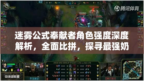 迷霧公式奉獻(xiàn)者角色強(qiáng)度深度解析，全面比拼，探尋最強(qiáng)奶媽的真面目