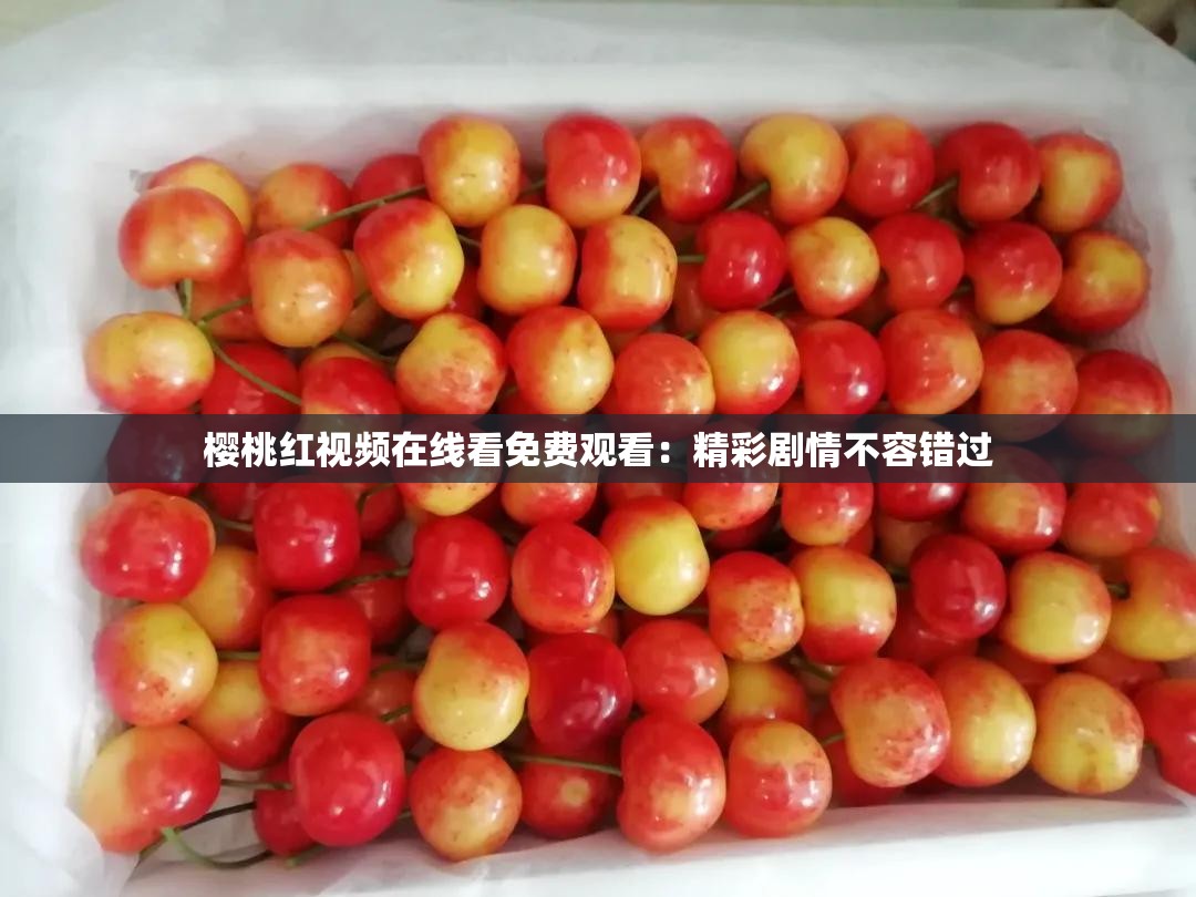櫻桃紅視頻在線看免費(fèi)觀看：精彩劇情不容錯過