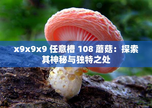 x9x9x9 任意槽 108 蘑菇：探索其神秘與獨特之處
