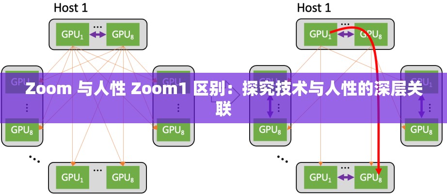Zoom 與人性 Zoom1 區(qū)別：探究技術與人性的深層關聯(lián)
