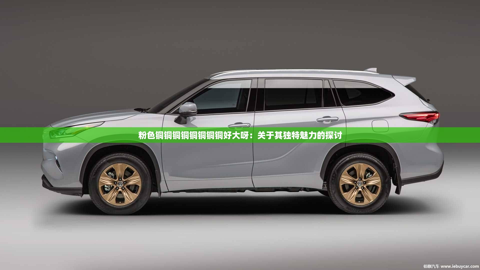 粉色銅銅銅銅銅銅銅銅好大呀：關(guān)于其獨(dú)特魅力的探討