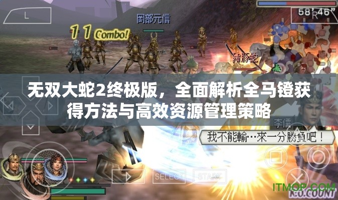 無(wú)雙大蛇2終極版，全面解析全馬鐙獲得方法與高效資源管理策略