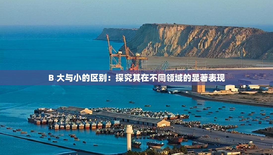 B 大與小的區(qū)別：探究其在不同領(lǐng)域的顯著表現(xiàn)