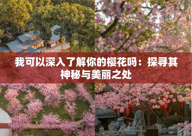 我可以深入了解你的櫻花嗎：探尋其神秘與美麗之處