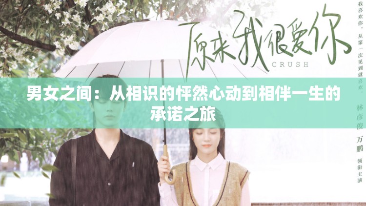 男女之間：從相識(shí)的怦然心動(dòng)到相伴一生的承諾之旅