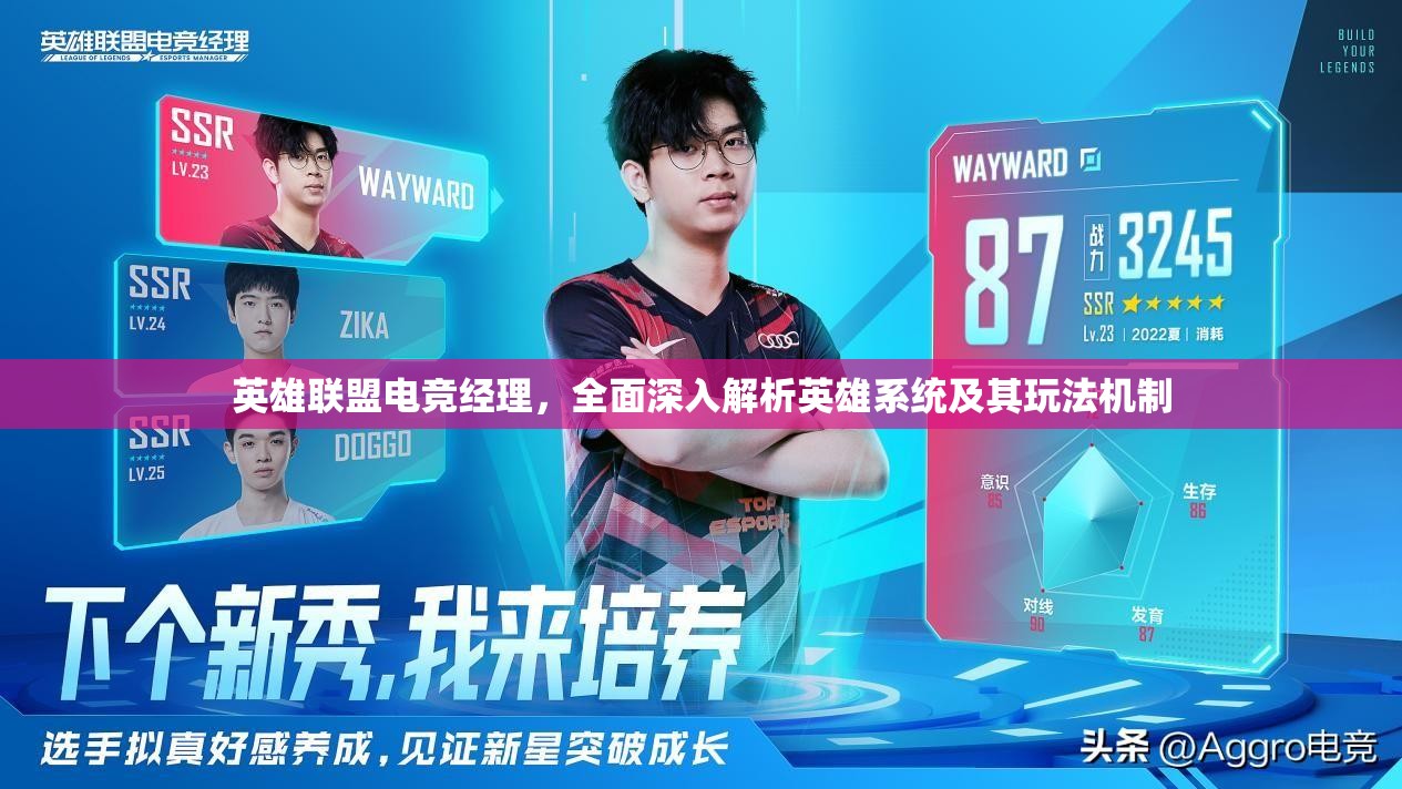 英雄聯(lián)盟電競經(jīng)理，全面深入解析英雄系統(tǒng)及其玩法機(jī)制