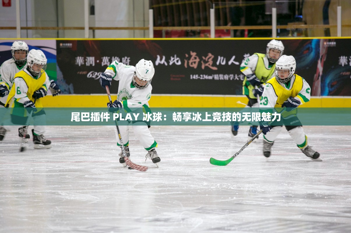 尾巴插件 PLAY 冰球：暢享冰上競技的無限魅力