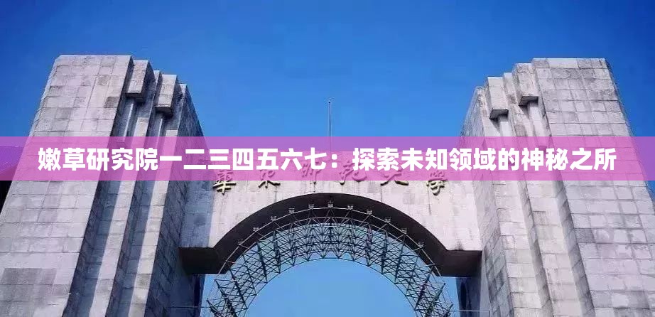 嫩草研究院一二三四五六七：探索未知領(lǐng)域的神秘之所