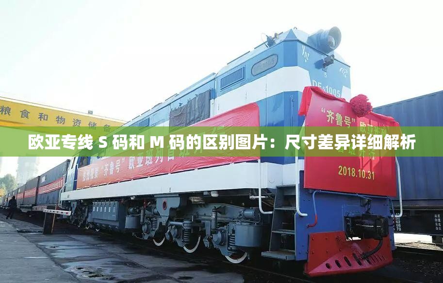 歐亞專線 S 碼和 M 碼的區(qū)別圖片：尺寸差異詳細(xì)解析