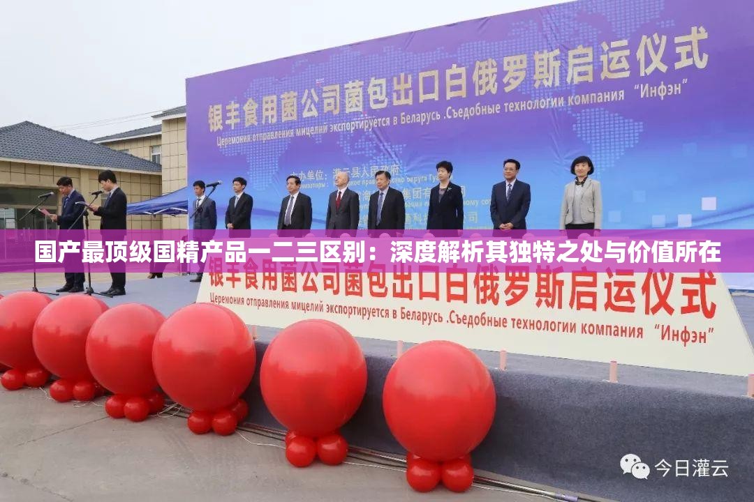 國(guó)產(chǎn)最頂級(jí)國(guó)精產(chǎn)品一二三區(qū)別：深度解析其獨(dú)特之處與價(jià)值所在