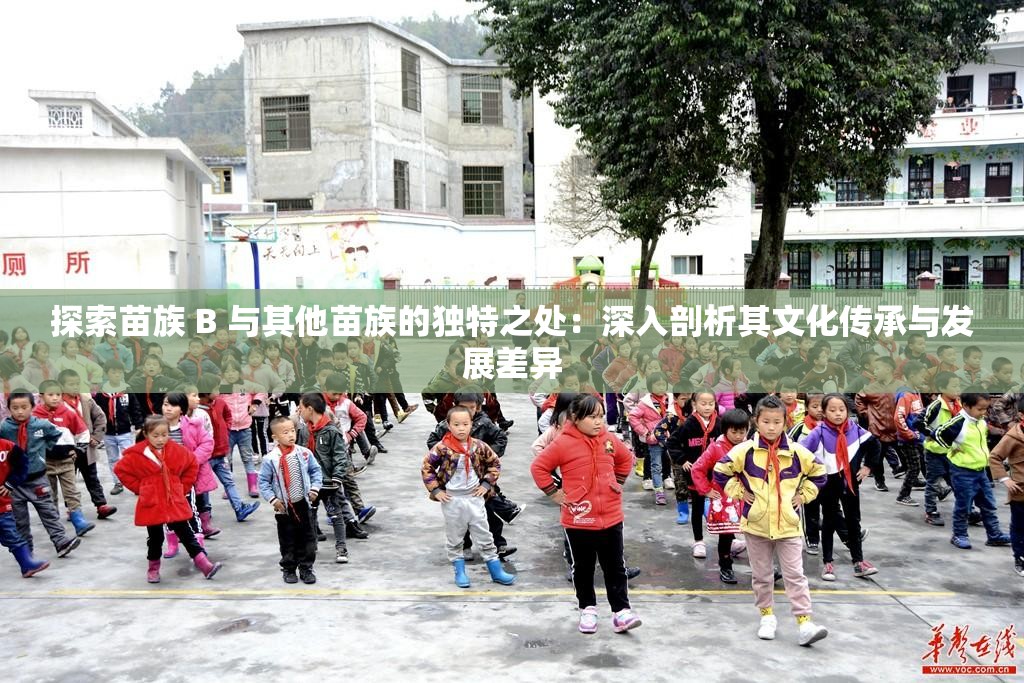 探索苗族 B 與其他苗族的獨(dú)特之處：深入剖析其文化傳承與發(fā)展差異