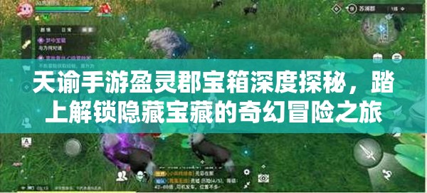 天諭手游盈靈郡寶箱深度探秘，踏上解鎖隱藏寶藏的奇幻冒險之旅