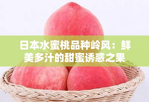 日本水蜜桃品種嶺風(fēng)：鮮美多汁的甜蜜誘惑之果