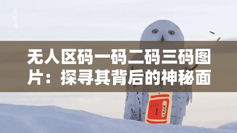 無(wú)人區(qū)碼一碼二碼三碼圖片：探尋其背后的神秘面紗
