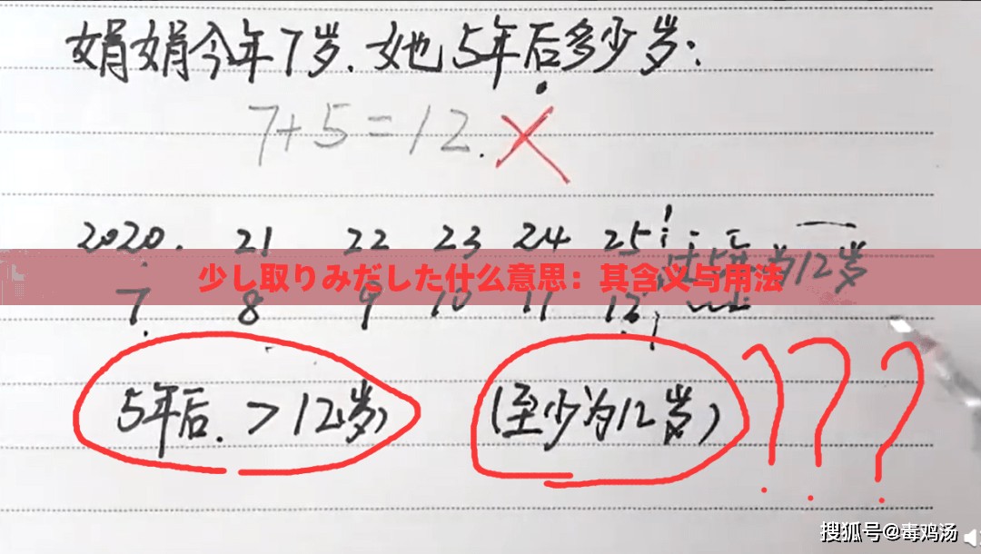 少し取りみだした什么意思：其含義與用法