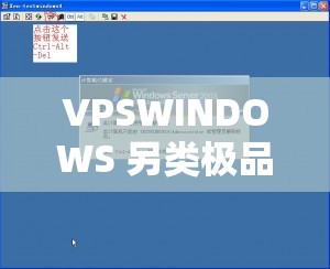 VPSWINDOWS 另類(lèi)極品有超多線路可選：帶來(lái)獨(dú)特體驗(yàn)
