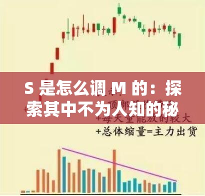 S 是怎么調(diào) M 的：探索其中不為人知的秘密和技巧