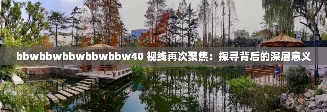 bbwbbwbbwbbwbbw40 視線再次聚焦：探尋背后的深層意義