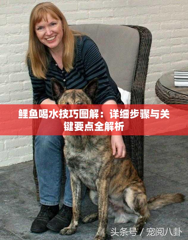 鯉魚喝水技巧圖解：詳細(xì)步驟與關(guān)鍵要點全解析