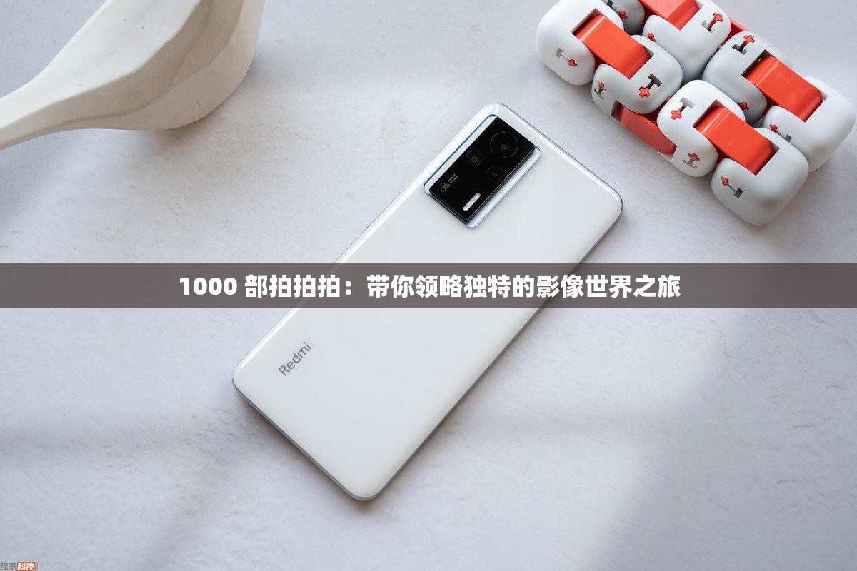 1000 部拍拍拍：帶你領(lǐng)略獨特的影像世界之旅