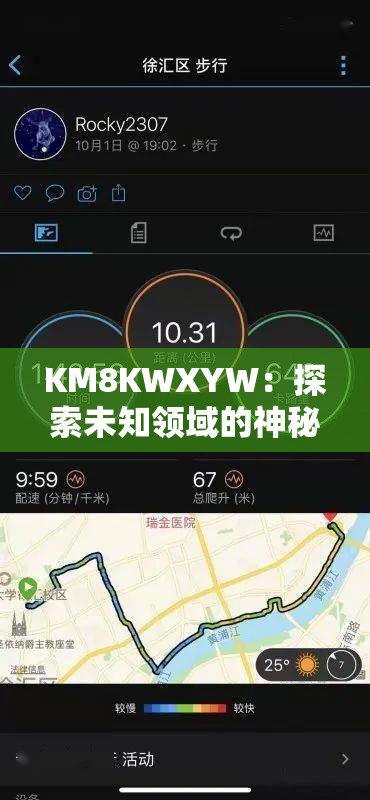 KM8KWXYW：探索未知領(lǐng)域的神秘密碼與獨(dú)特標(biāo)識