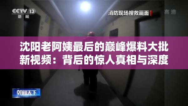 沈陽老阿姨最后的巔峰爆料大批新視頻：背后的驚人真相與深度剖析