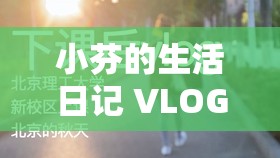 小芬的生活日記 VLOG ：展現(xiàn)平凡日子中的精彩瞬間