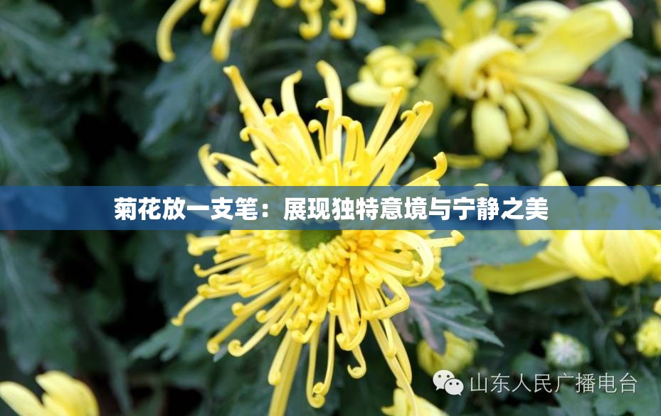 菊花放一支筆：展現(xiàn)獨(dú)特意境與寧?kù)o之美