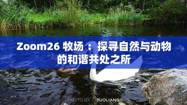 Zoom26 牧場 ：探尋自然與動物的和諧共處之所