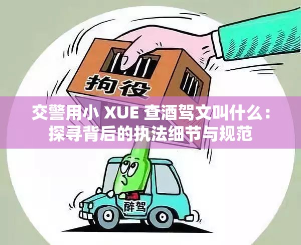 交警用小 XUE 查酒駕文叫什么：探尋背后的執(zhí)法細節(jié)與規(guī)范