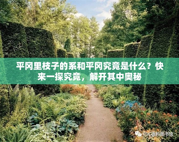 平岡里枝子的系和平岡究竟是什么？快來(lái)一探究竟，解開(kāi)其中奧秘