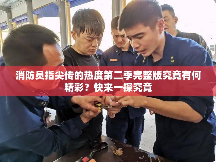 消防員指尖傳的熱度第二季完整版究竟有何精彩？快來一探究竟