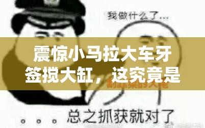 震驚小馬拉大車牙簽攪大缸，這究竟是道德的淪喪還是人性的扭曲？