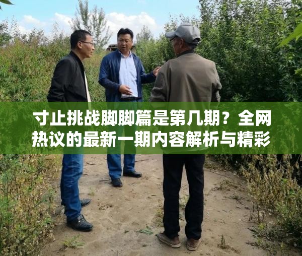 寸止挑戰(zhàn)腳腳篇是第幾期？全網(wǎng)熱議的最新一期內(nèi)容解析與精彩看點(diǎn)大揭秘