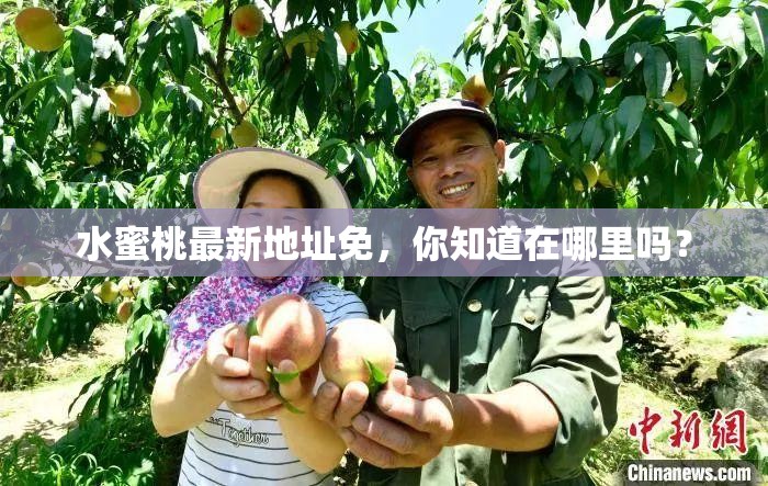 水蜜桃最新地址免，你知道在哪里嗎？