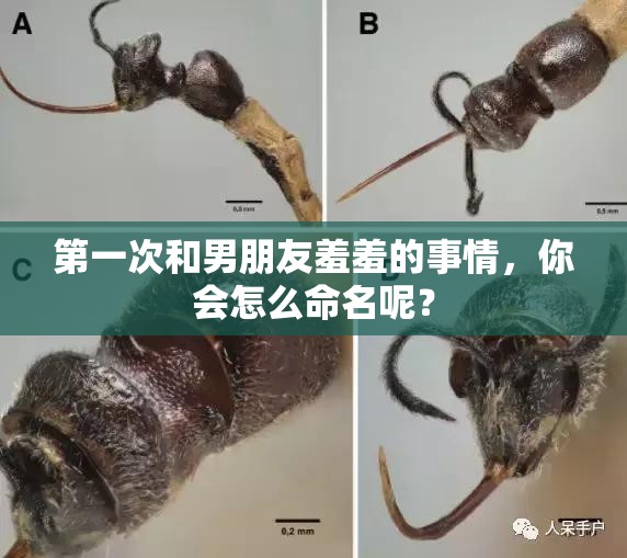 第一次和男朋友羞羞的事情，你會怎么命名呢？