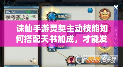 誅仙手游靈契主動(dòng)技能如何搭配天書(shū)加成，才能發(fā)揮最大戰(zhàn)斗力？