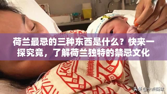 荷蘭最忌的三種東西是什么？快來一探究竟，了解荷蘭獨特的禁忌文化