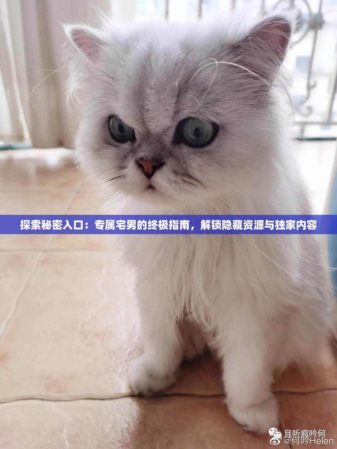 探索秘密入口：專屬宅男的終極指南，解鎖隱藏資源與獨家內(nèi)容