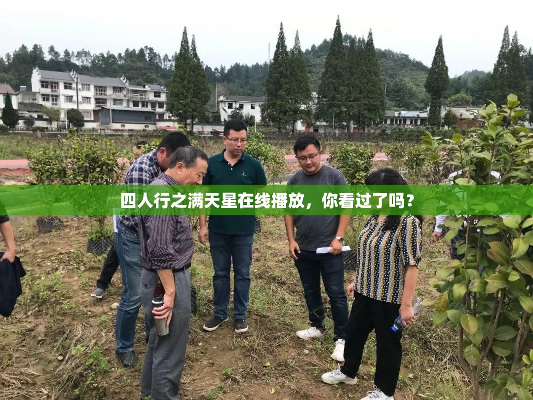 四人行之滿天星在線播放，你看過了嗎？