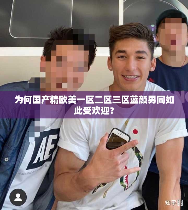 為何國產(chǎn)精歐美一區(qū)二區(qū)三區(qū)藍顏男同如此受歡迎？