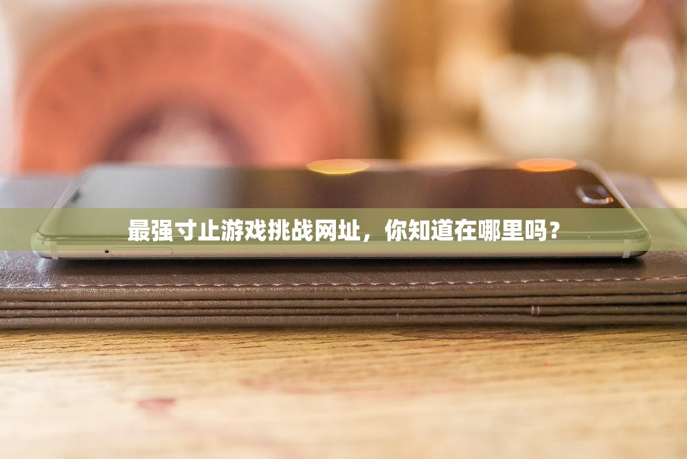 最強寸止游戲挑戰(zhàn)網(wǎng)址，你知道在哪里嗎？