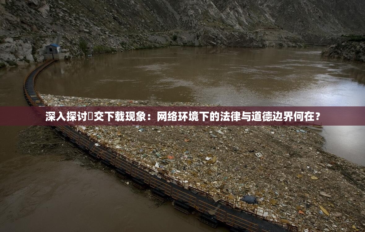 深入探討?交下載現(xiàn)象：網(wǎng)絡(luò)環(huán)境下的法律與道德邊界何在？