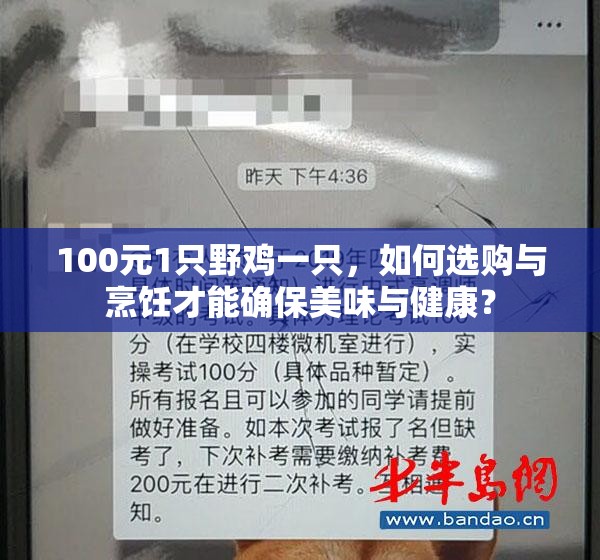 100元1只野雞一只，如何選購與烹飪才能確保美味與健康？