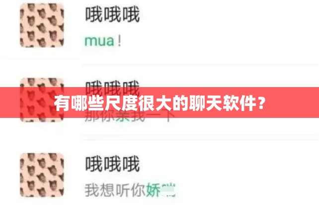 有哪些尺度很大的聊天軟件？