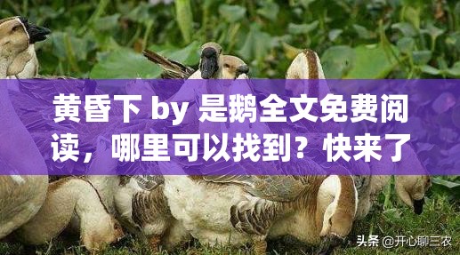 黃昏下 by 是鵝全文免費閱讀，哪里可以找到？快來了解一下